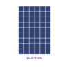 250W Solar Panel Poly Solar Moduel with CE TUV Certification 275W 300W