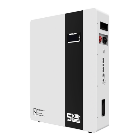 Wall Mounted Lithium Battery 48V 51.2V 100ah 200ah for Solar Storage System