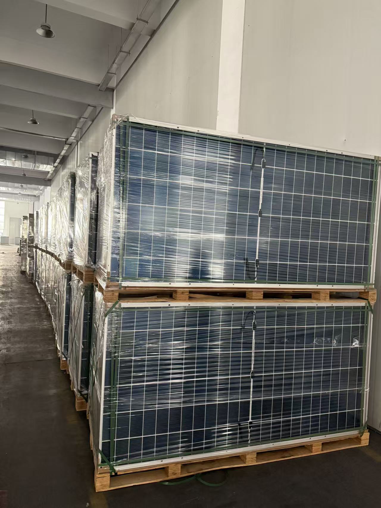 9eb88d108c71903d5cde8a7d79ff2fc8