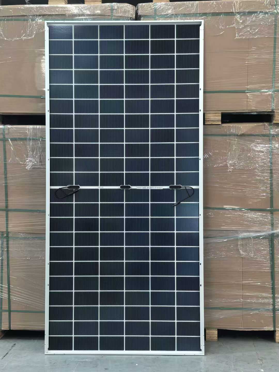 微信图片_2026-01-14_171554_858