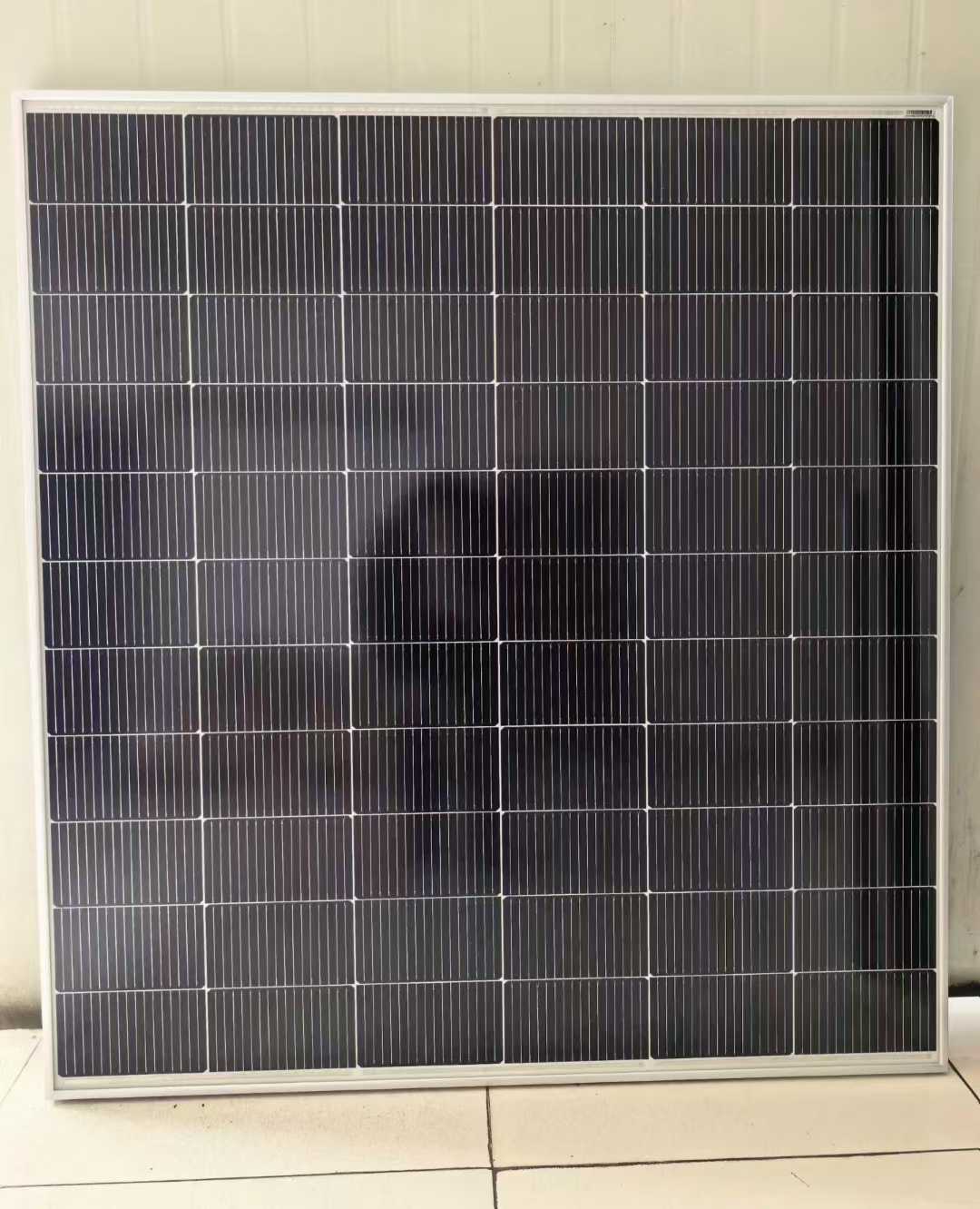 微信图片_2026-03-09_174955_479